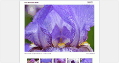 Desktop Screenshot of foto-werkstatt.ch